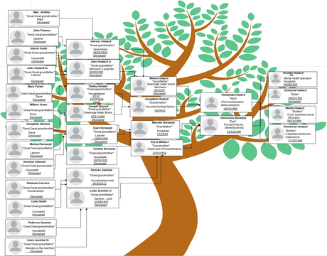 Copy Of Multi Generation Family Tree Template.vpd 